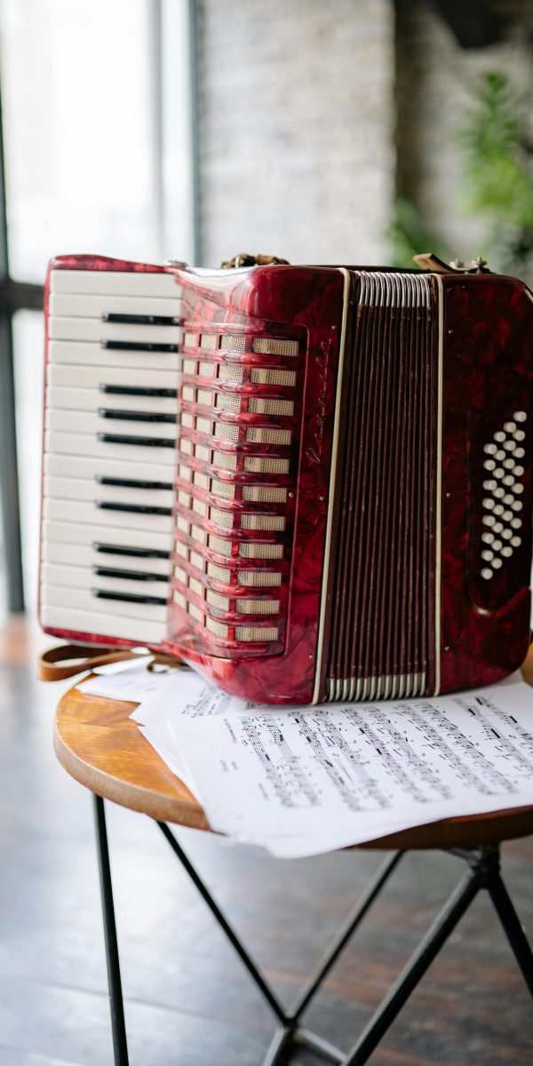 Harmonikaš za svadbe Glazba za vjenčanje Tradicionalna svadbena glazba Profesionalni harmonikaš Najbolji harmonikaš za svadbe Živa glazba za vjenčanja Harmonika za svadbeno veselje