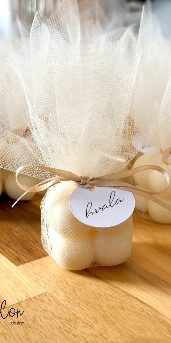 Papilon22024-11-05 at 09.34.12